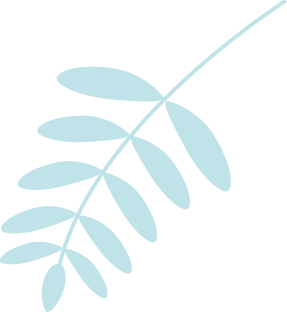 branche-bleu-claire copy
