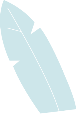 plante-4-ordi copy