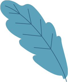 plante-5-ordi copy