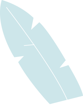 feuille-blanche copy