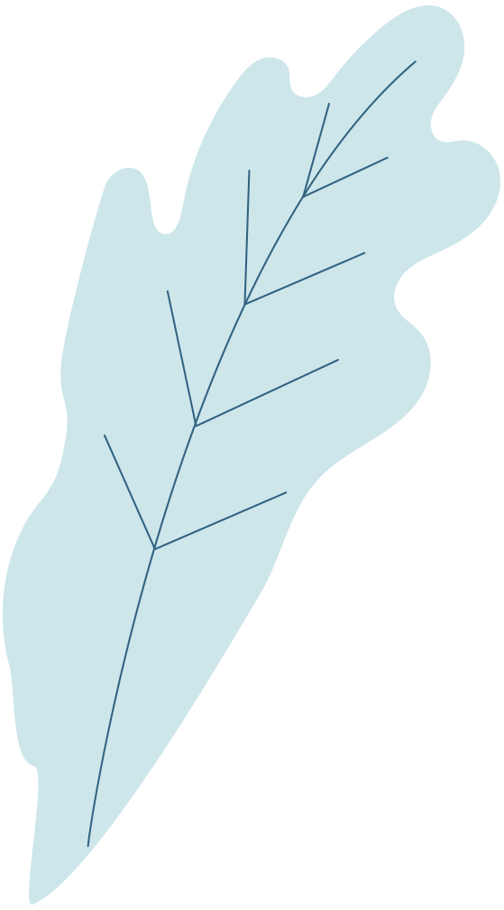 feuille-bleu copy